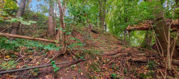 8 rooms House in Lambach, Austria No. 17860 26