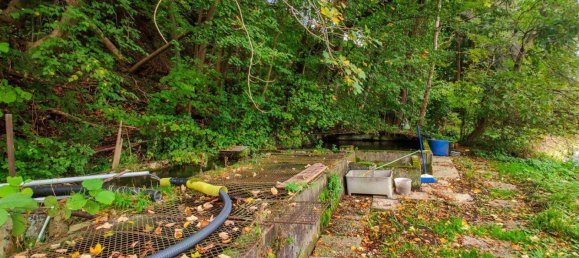 8 rooms House in Lambach, Austria No. 17860 24