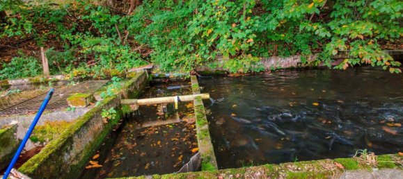 8 rooms House in Lambach, Austria No. 17860 23