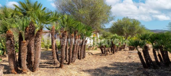 4 chambres Villa à Alghero, Italy No. 377305 8