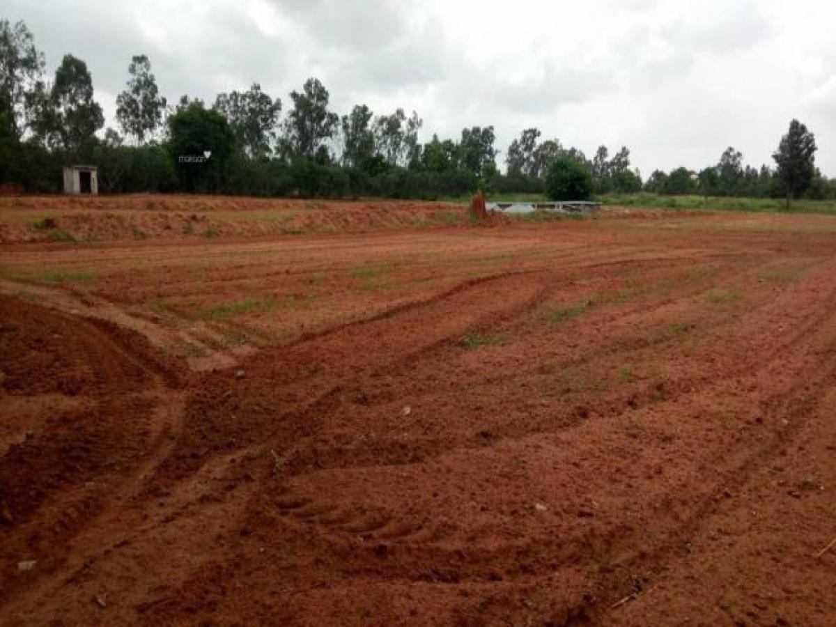  Land in Bangalore, India No. 35486