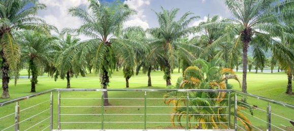 3 bedrooms Cafe / restaurant in Kathu, Thailand No. 5962 2