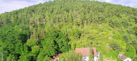 3 chambres Châteaux à Rhon-Grabfeld, Germany No. 211151 7