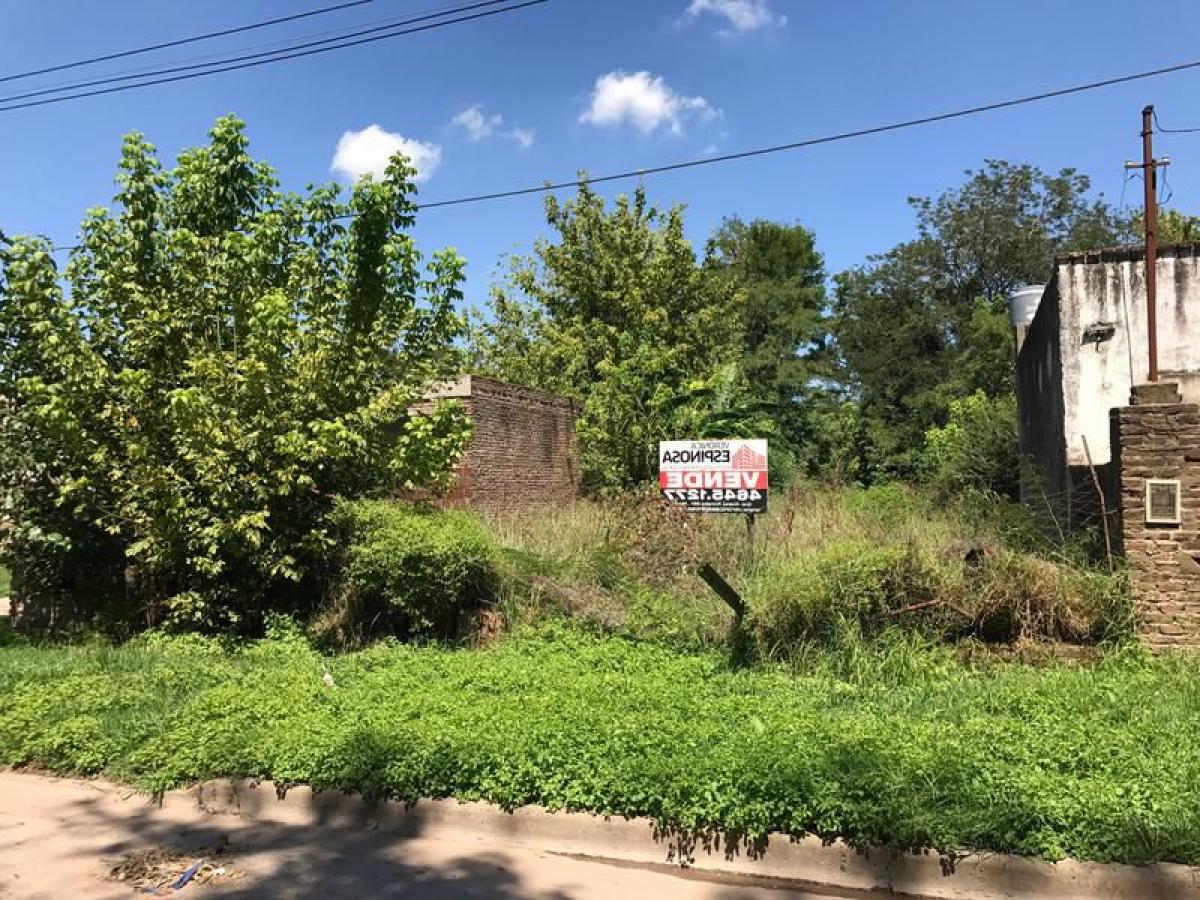  Land in Canuelas, Argentina No. 40509