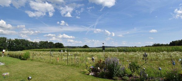 4 rooms Bungalow in Bad Waltersdorf, Austria No. 243532 17