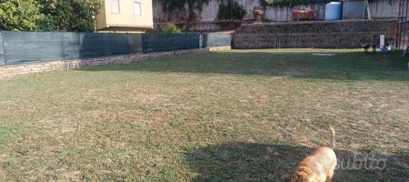 6 rooms Apartment in Valmontone, Italy No. 278854 5