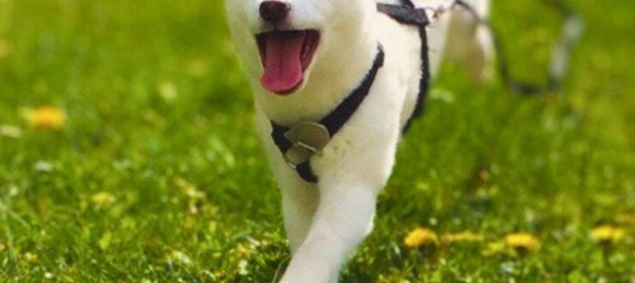  Land in Potsdam-Mittelmark, Germany No. 287188 4