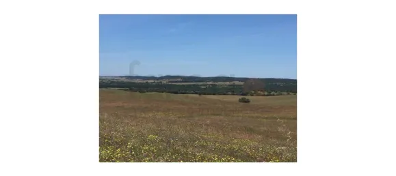 Grundstück in Sao Cristovao, Portugal, Nr. 91670 10