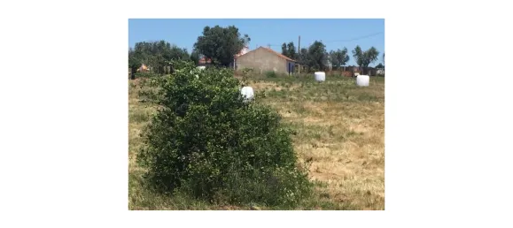 Grundstück in Sao Cristovao, Portugal, Nr. 91670 9