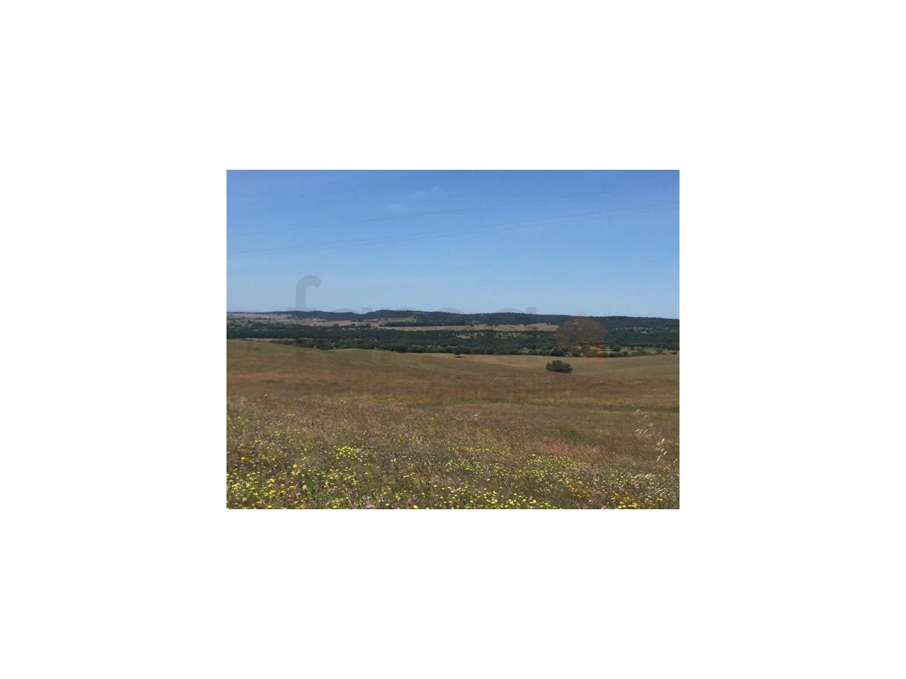 Grundstück in Sao Cristovao, Portugal, Nr. 91670