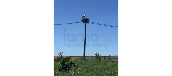 Grundstück in Sao Cristovao, Portugal, Nr. 91670 19