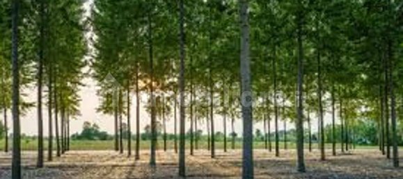  قطعة أرض في San Benedetto Po, Italy 41000متر مربع رقم 355707 2