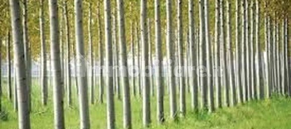  قطعة أرض في San Benedetto Po, Italy 41000متر مربع رقم 355707 4