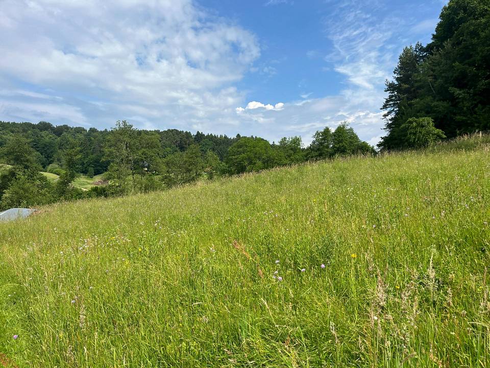 1000m² Land in Vasoldsberg, Austria No. 80946