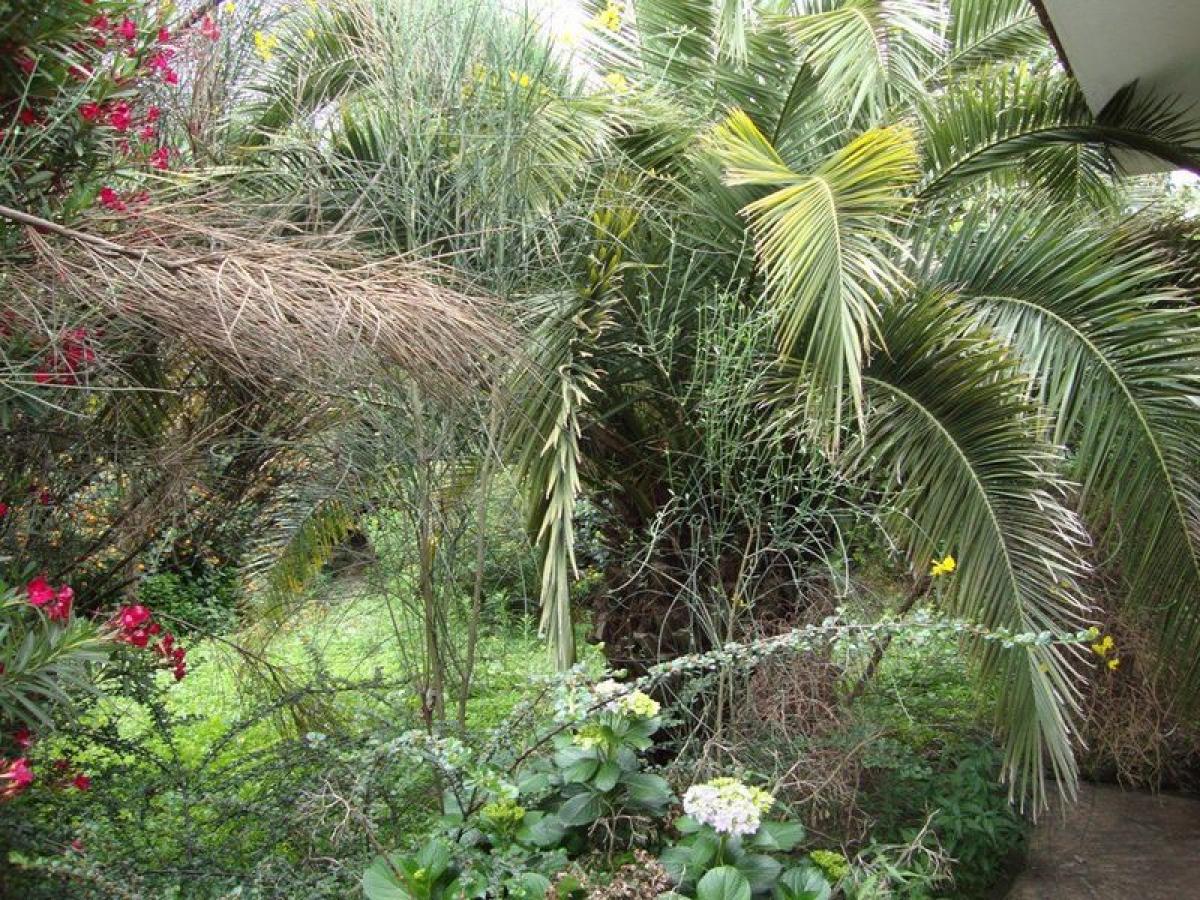 Terrain à Cordoba, Argentina No. 37660