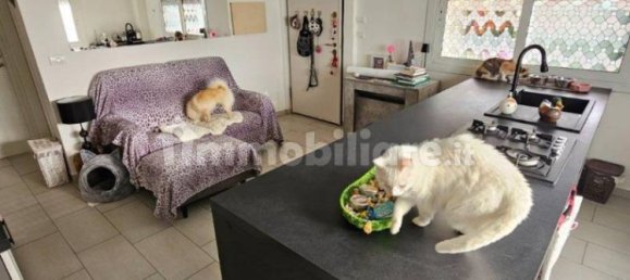 1 bedroom Apartment in Ventimiglia, Italy No. 175961 17