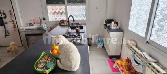 1 bedroom Apartment in Ventimiglia, Italy No. 175961 16