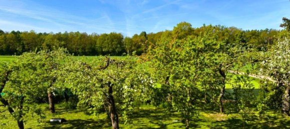 5 rooms Farm in Gustrow, Germany No. 370782 6