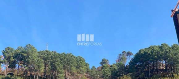 17000m² Land in Sao Cristovao de Nogueira, Portugal No. 55631 2