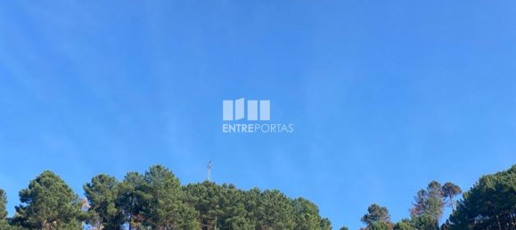 17000m² Land in Sao Cristovao de Nogueira, Portugal No. 55631 8