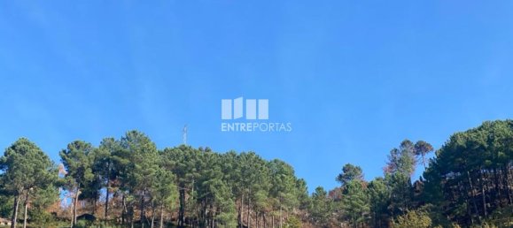 17000m² Land in Sao Cristovao de Nogueira, Portugal No. 55631 6