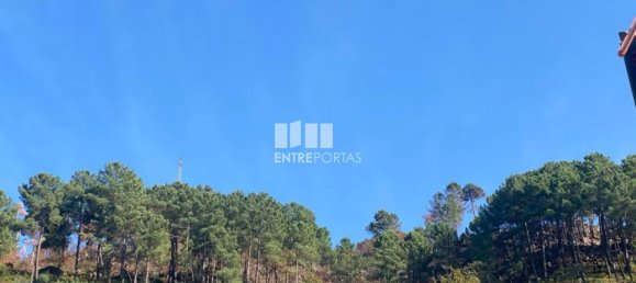 17000m² Land in Sao Cristovao de Nogueira, Portugal No. 55631 3