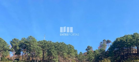 17000m² Land in Sao Cristovao de Nogueira, Portugal No. 55631 4