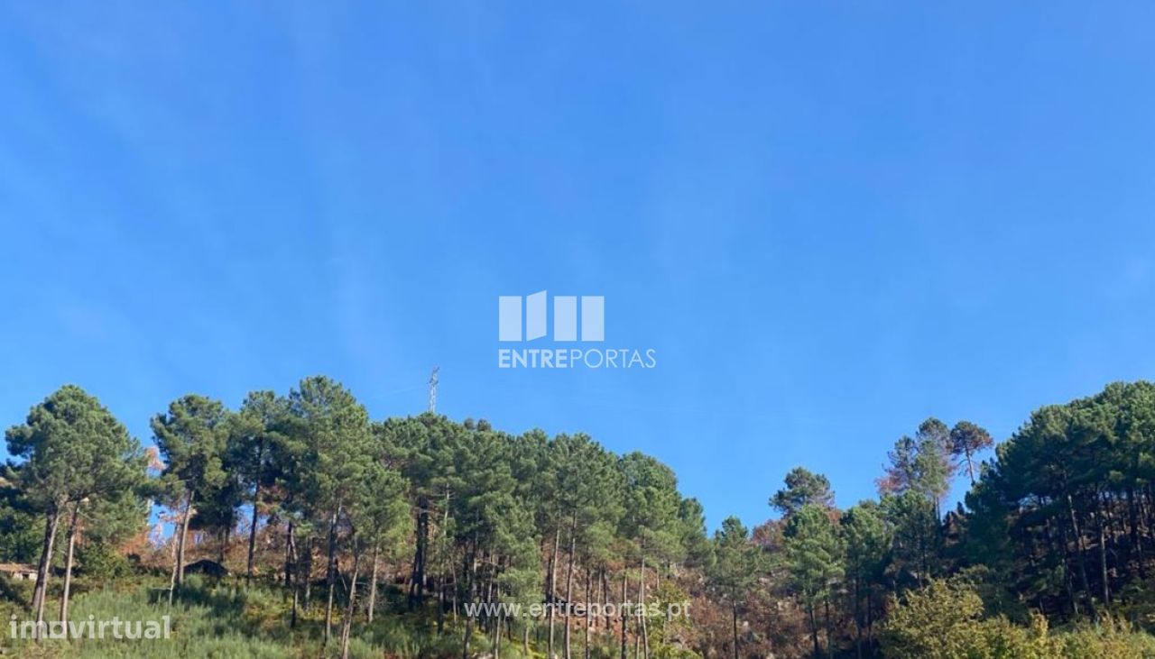 17000m² Land in Sao Cristovao de Nogueira, Portugal No. 55631