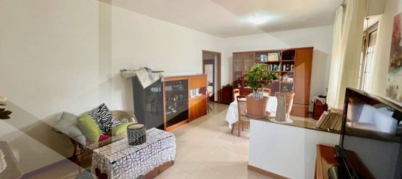 3 rooms Land in Termoli, Italy No. 19226 5