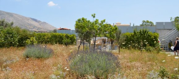 3 bedrooms Commercial property for sale in Kalyvia Thorikou, Saronikos, East Attica, Attica, Greece № 6211 2