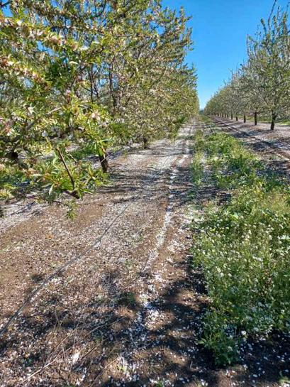 Земельный участок 80000м² в Андалусия, Испания № 197660