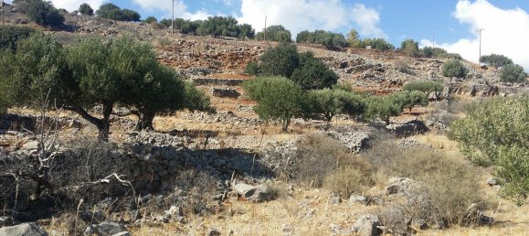  فندق في Agios Nikolaos, Greece 5779متر مربع رقم 6545 2