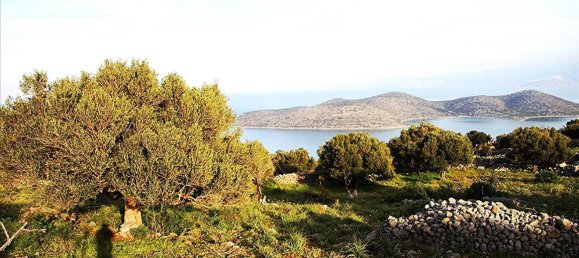  فندق في Agios Nikolaos, Greece 5779متر مربع رقم 6545 3