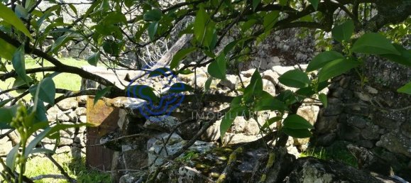 5 bedrooms Building in Oledo, Portugal No. 74657 6