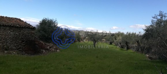 5 bedrooms Building in Oledo, Portugal No. 74657 8