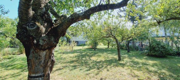 3 rooms House in Perchtoldsdorf, Austria No. 214716 3