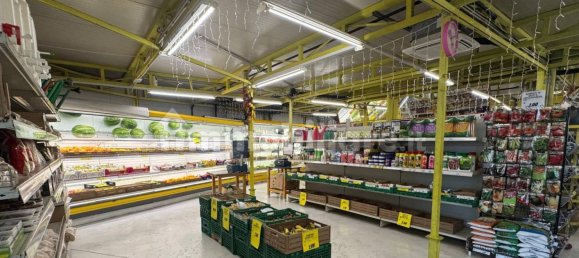 Коммерческая недвижимость с 5 комнатами в Триест, Италия № 357741 5