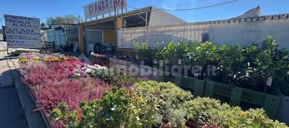 Коммерческая недвижимость с 5 комнатами в Триест, Италия № 357741 16