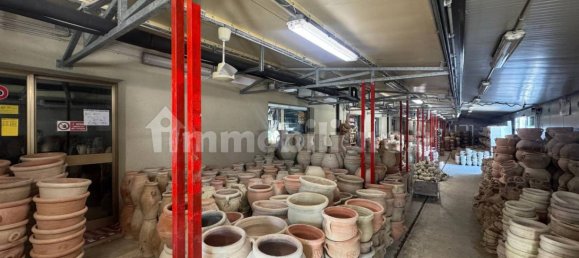 Коммерческая недвижимость с 5 комнатами в Триест, Италия № 357741 9