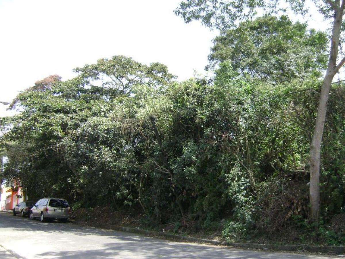 Terrain à Veracruz, Mexico No. 204515