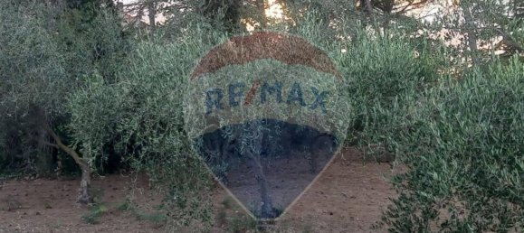 2170m² Land in Caltagirone, Italy No. 57005 4