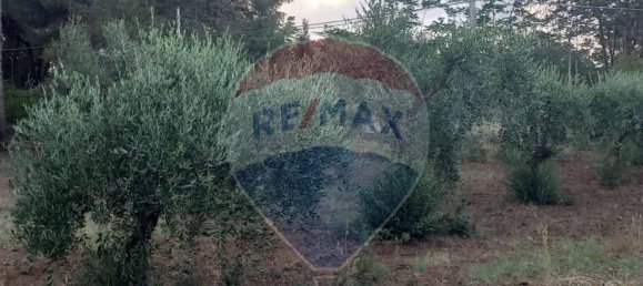 2170m² Land in Caltagirone, Italy No. 57005 5