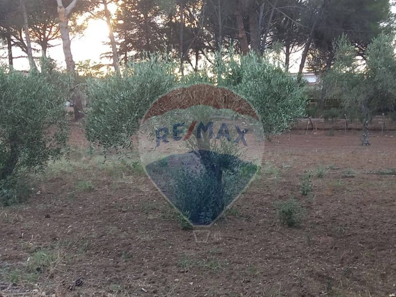 2170m² Land in Caltagirone, Italy No. 57005