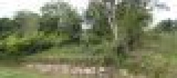 Terrain à Loir-et-Cher, France 1232m² No. 84870 7