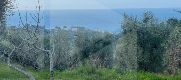 24 rooms Villa in Vico del Gargano, Italy No. 21428 10