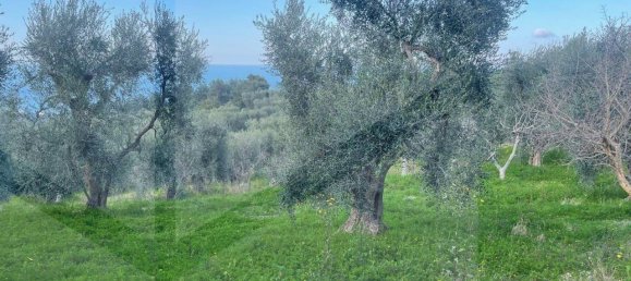 24 rooms Villa in Vico del Gargano, Italy No. 21428 12