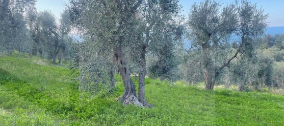 24 rooms Villa in Vico del Gargano, Italy No. 21428 11