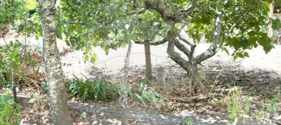 2 bedrooms House in Pacos de Ferreira, Portugal No. 222502 6