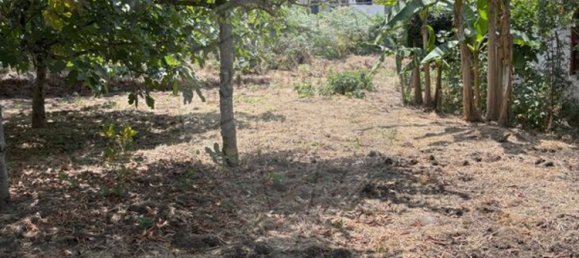 2 bedrooms House in Pacos de Ferreira, Portugal No. 222502 9