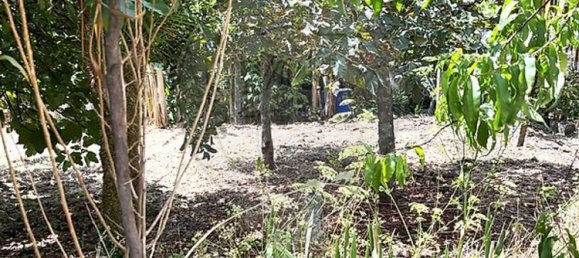 2 bedrooms House in Pacos de Ferreira, Portugal No. 222502 7